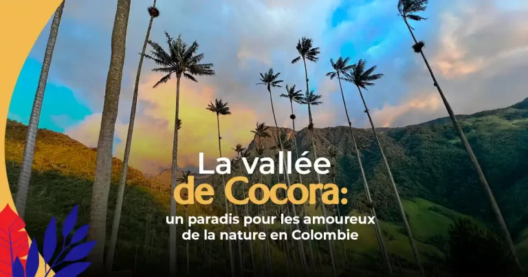 La Vallée de Cocora : Un Paradis pour les Amoureux de la Nature en Colombie