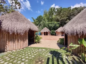 Ruta colombia en 15 dias - eje cafetero - colombia memories