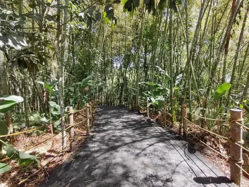 mejores viajes en bicicleta por Colombia mejores viajes en bicicleta por Colombia