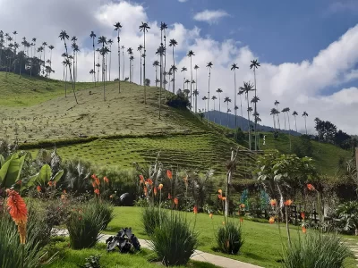 valle del cocora en el triangulo del cafe colombia