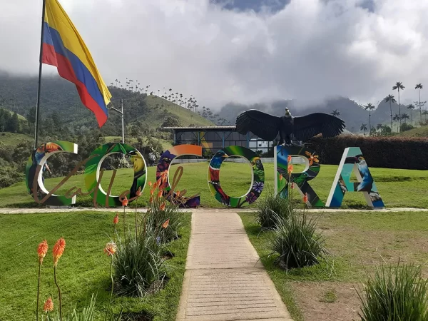 vallee de cocora - valle del cocora - palma de cera