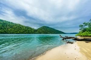 playona nuqui 7 mejores lugares para disfrutar del ecoturismo en Colombia