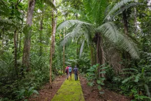 reserva tanimboca amazonas 7 mejores lugares para disfrutar del ecoturismo en Colombia