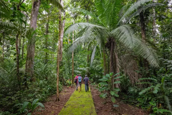 reserva tanimboca amazonas 7 mejores lugares para disfrutar del ecoturismo en Colombia