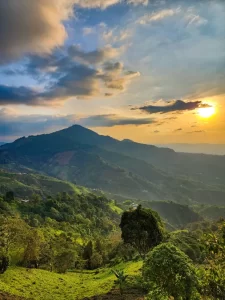 santuario fauna y flora otun 7 mejores lugares para disfrutar del ecoturismo en Colombia