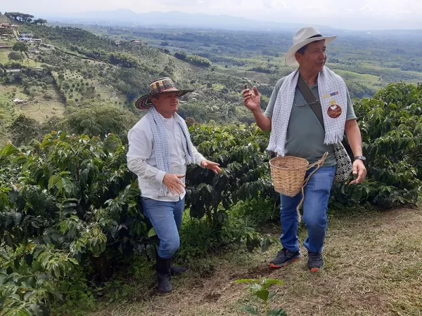 triangulo del cafe colombia - eje cafetero - agencia DMC colombia memories