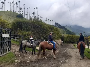 viajar a colombia con niños - cabalgata