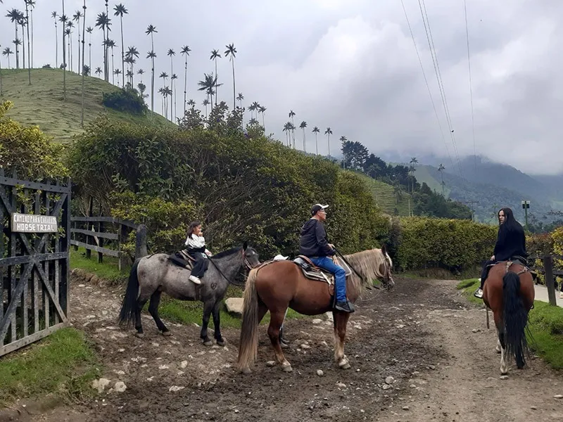 viajar a colombia con niños - colombia memories