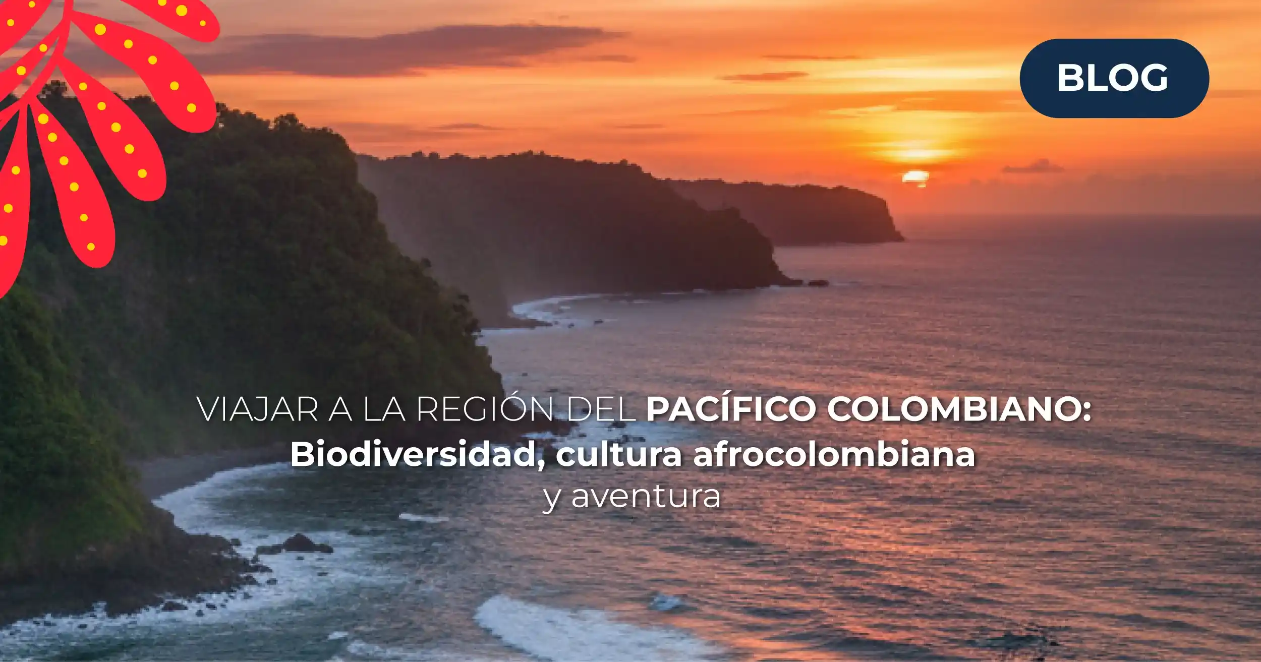 Viajar a la región del Pacífico colombiano: biodiversidad, cultura afrocolombiana y aventura